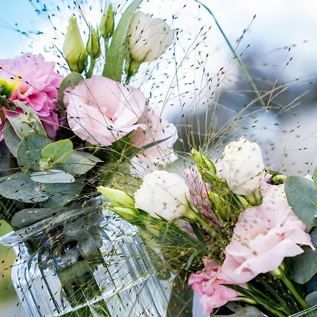 מלון Park Plaza 4*