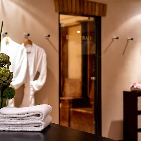 Hotel Park Plaza Trier