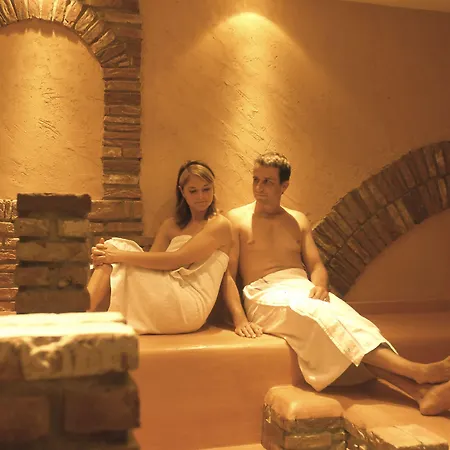 Park Plaza ترير