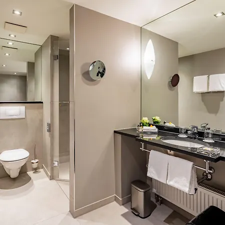 Park Plaza ترير