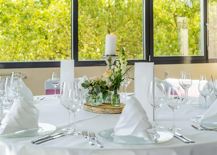 Park Plaza מלון טרייר